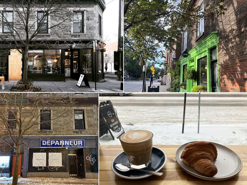 Mollo Café - Gelato