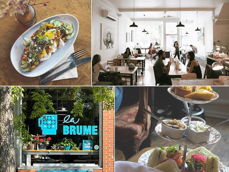 La Brume Dans Mes Lunettes