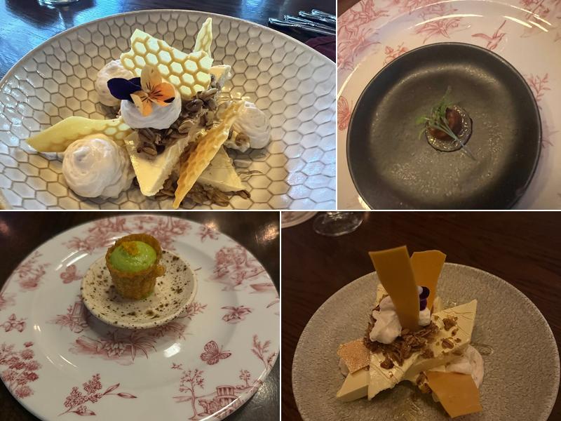 Wildflower 3638 Navajo St, Denver