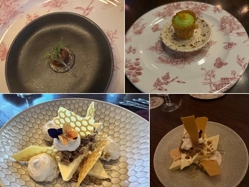 Wildflower 3638 Navajo St, Denver