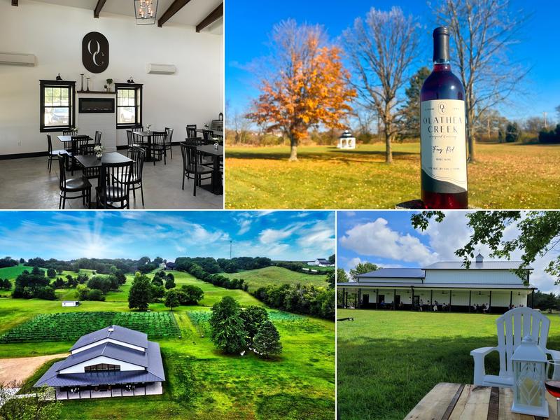 Olathea Creek Vineyard and Winery