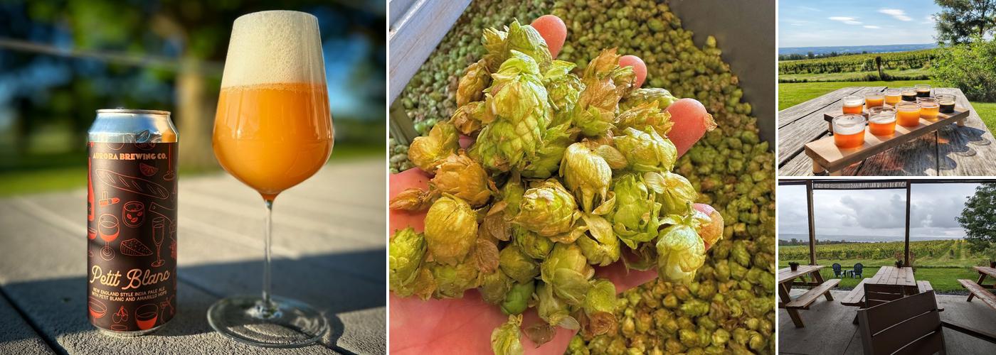 Aurora Brewing Company