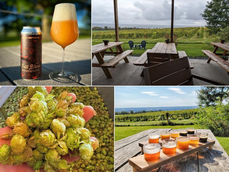 Aurora Brewing Company