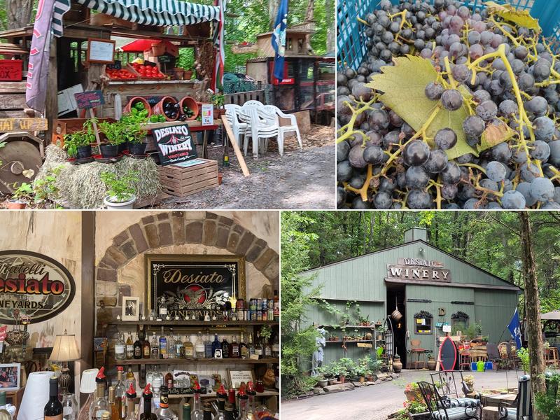 Desiato Winery in the Woods