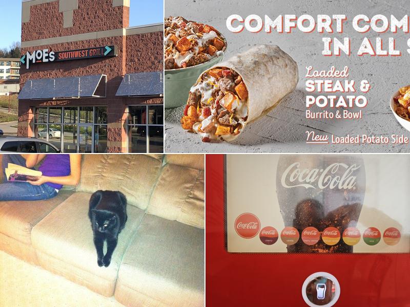 Moe's Southwest Grill