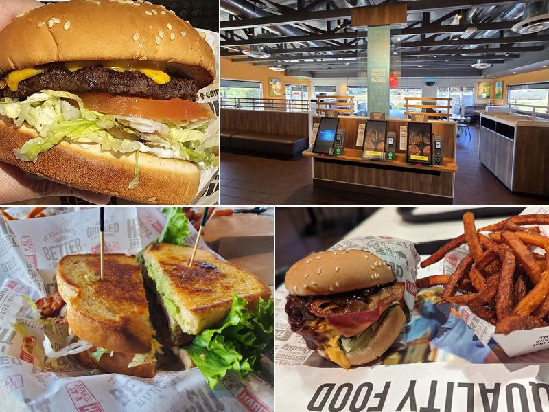 Habit Burger & Grill