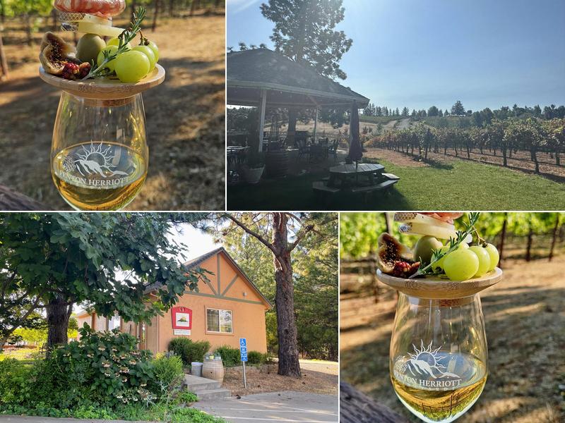 Fenton Herriott Vineyards