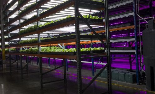 Artesian Farm 18300 US-12, New Buffalo Michigan 49117