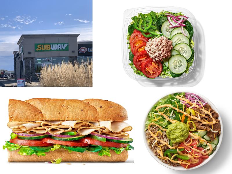 Subway 309 Colonnade Dr Unit 100, Building, Kemptville
