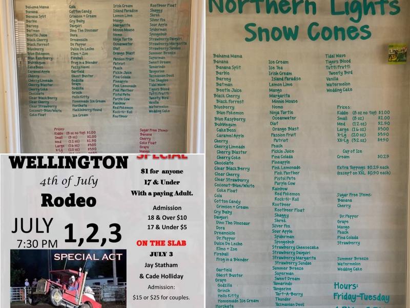 Northern Lights Snow Cones Menu