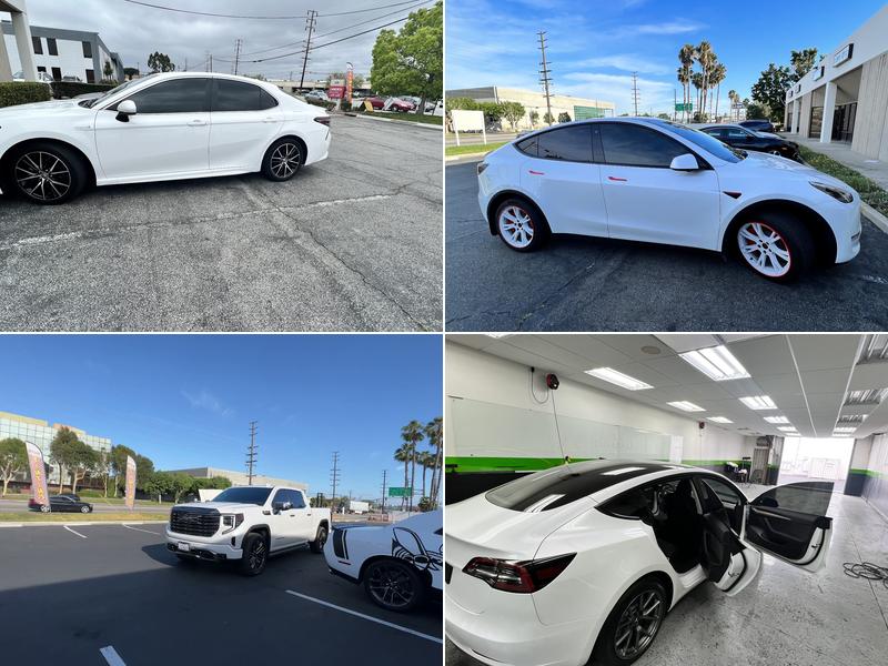 Tint Monsters Norwalk