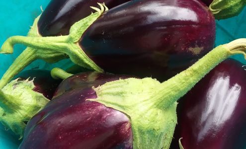 Good Seed Garden Waldron