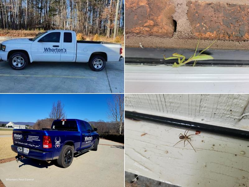 Whorton's Pest Control