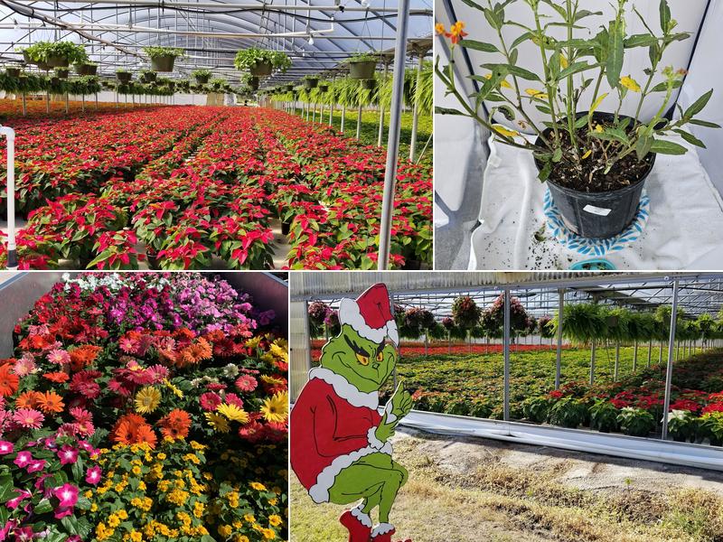 Orban's Nursery Inc
