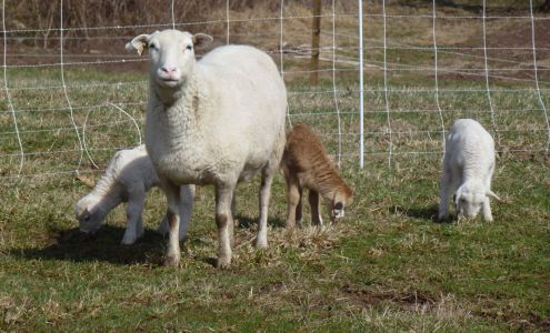 Mariposa Farm 736 County Road 519, Frenchtown New Jersey 08825