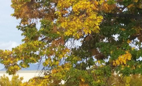 Your Dollar Store with More