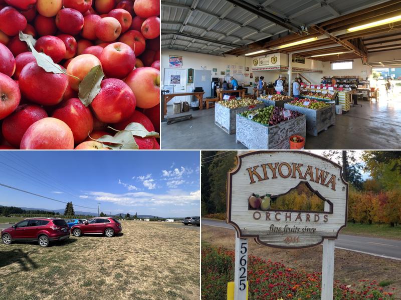 Kiyokawa Family Orchards