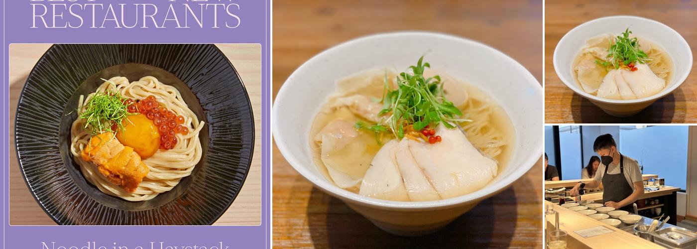 Noodle in a Haystack