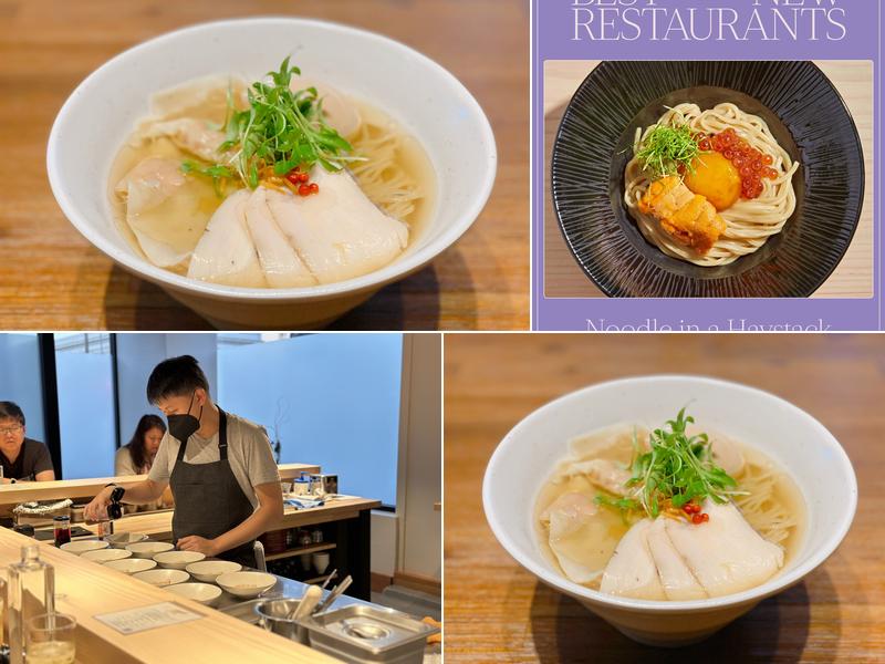 Noodle in a Haystack