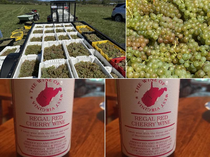 West Whitehill Winery 4484 US-220, Moorefield