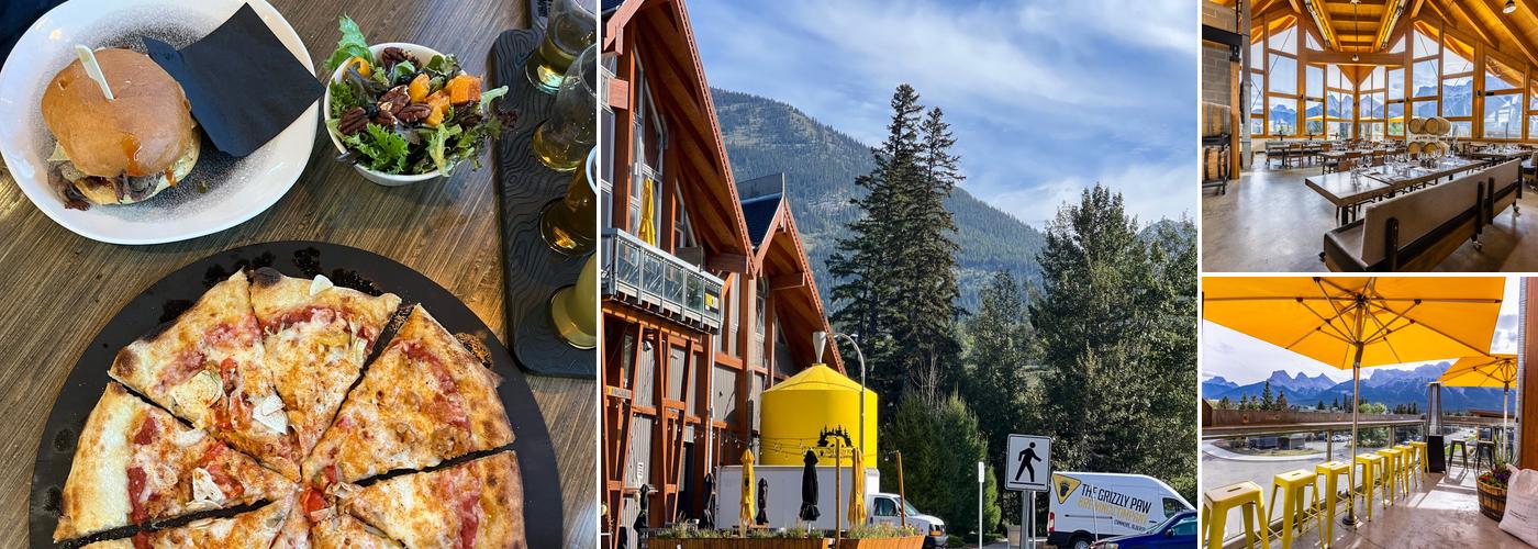 Tank310 - by The Grizzly Paw Brewing Co.