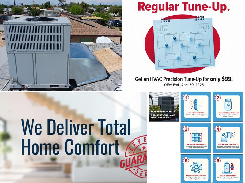 Orangutan Home Services