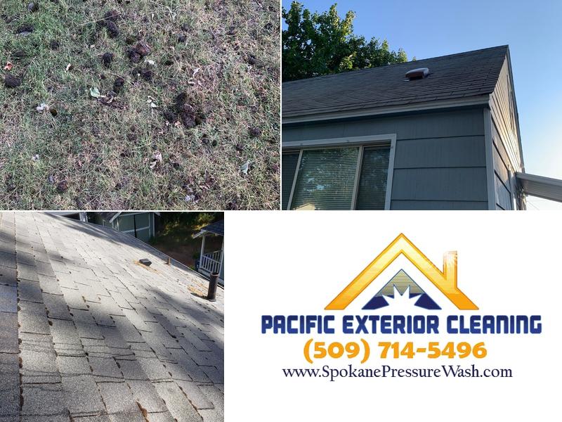 Pacific Exterior Cleaning