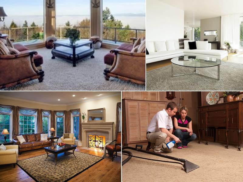 DanCare Carpet Cleaning