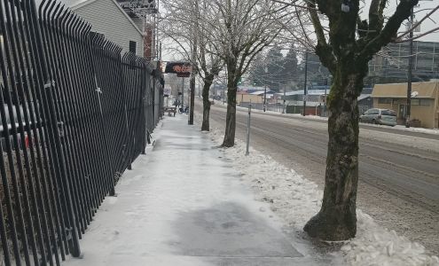 Metropolitan Services