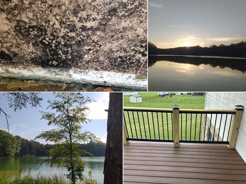 MOLD TOX Testing & Remediation, LLC