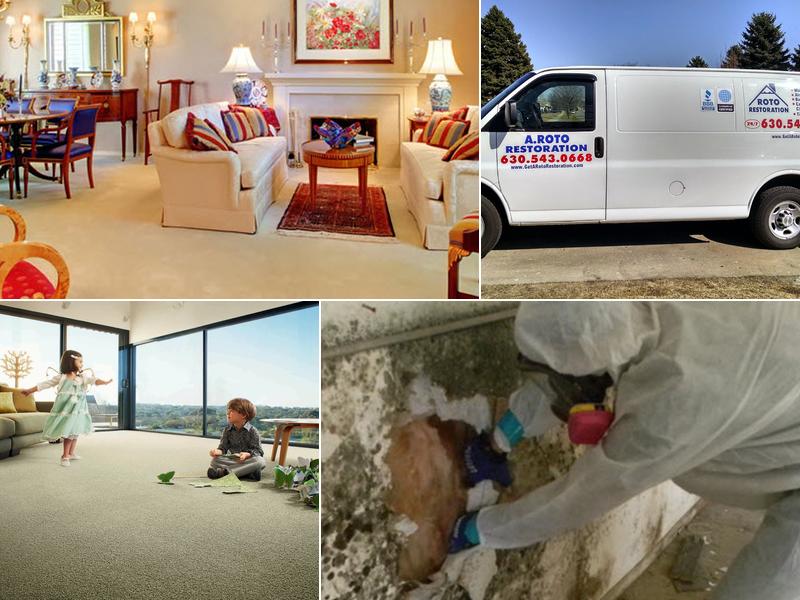 A Roto Restoration & Budget King Carpet Cleaning