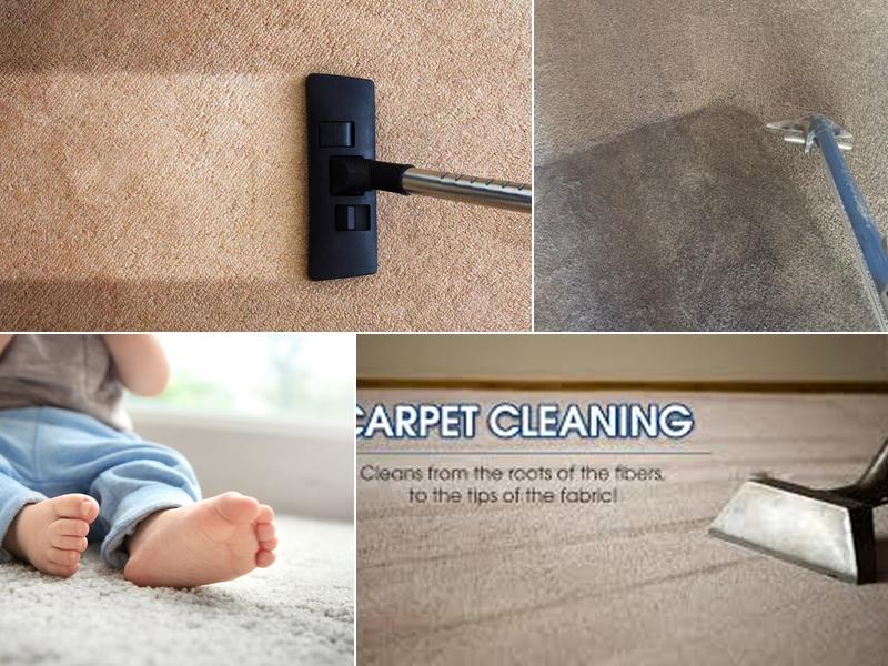 All Clene Carpet Cleaners