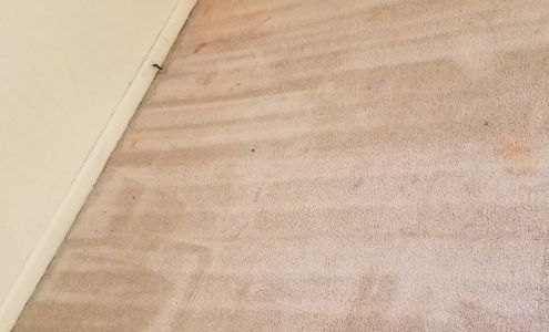 Razorback Maintenance Best Way Carpet Cleaners