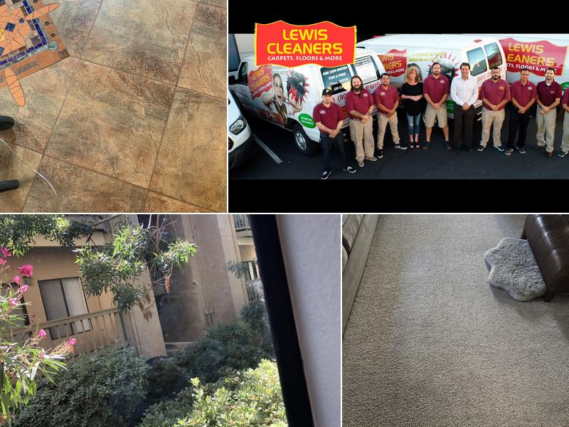 Lewis Carpet Cleaners