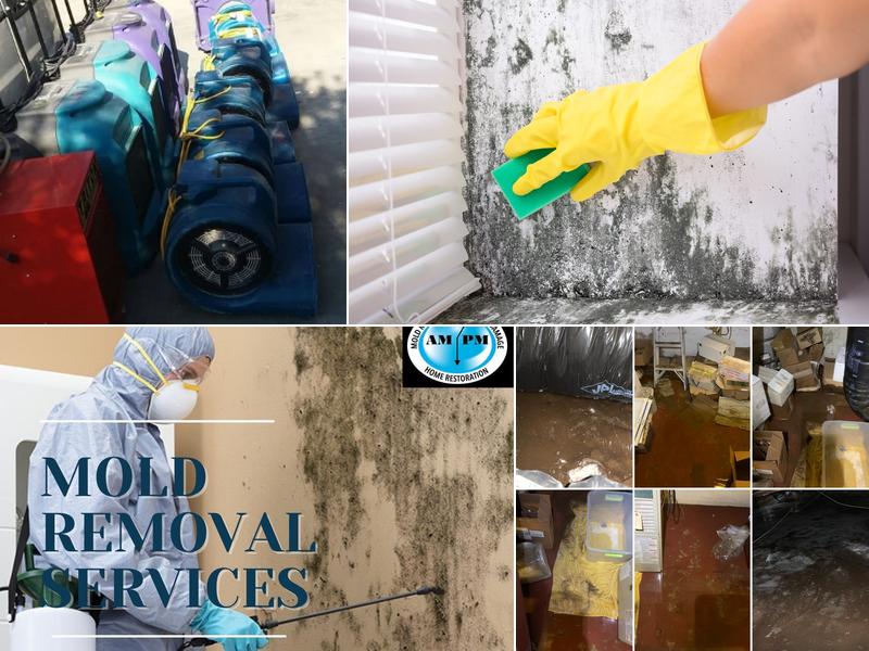 Am:Pm Restoration and Construction inc