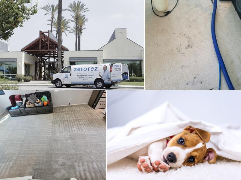 Zerorez Riverside Carpet Cleaning
