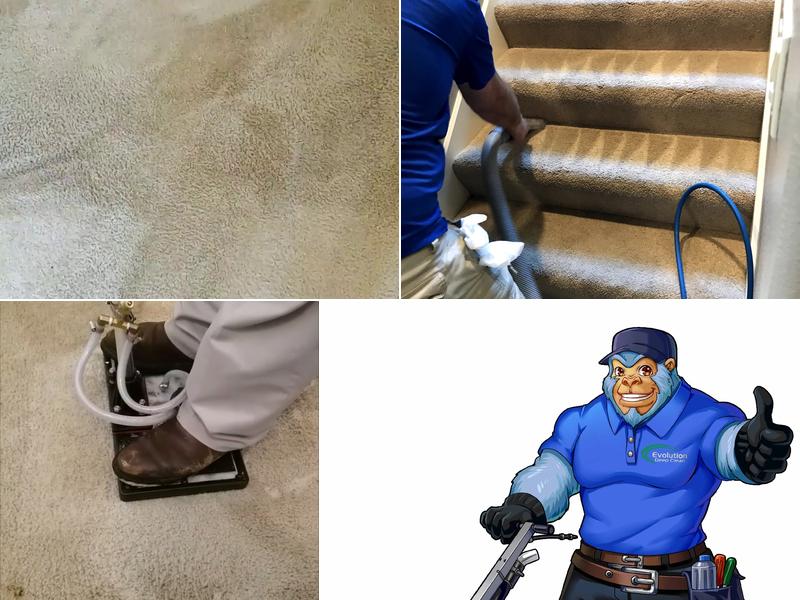 Evolution Deep Clean