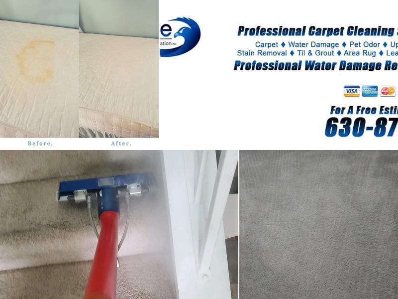 Dupage Carpet Cleaning and Restoration Inc.