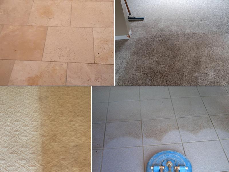Pilgard's quality cleaning solutions