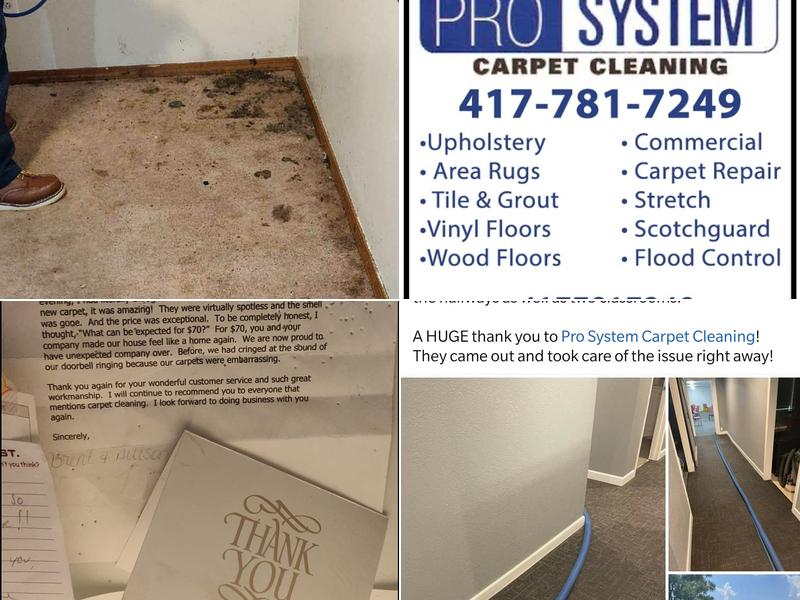 Pro System Carpet Cleaning