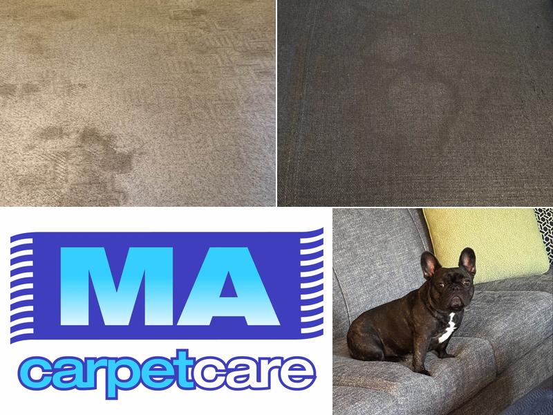 M.A. Carpet Care