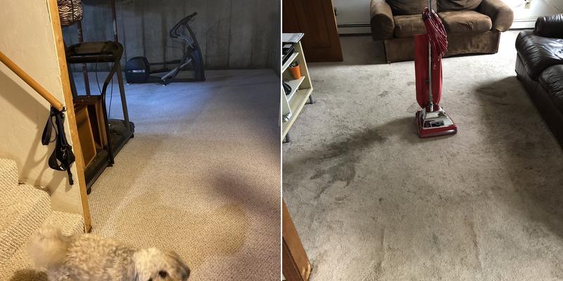 Amcho Carpet Cleaning