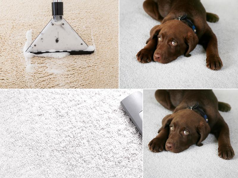 Atlas Cleaning Service, Inc.