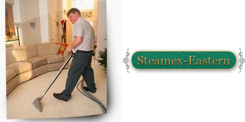 Steamex Eastern of Toledo