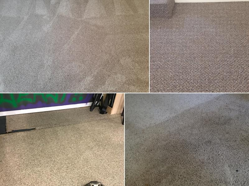 Dynamic Carpet Care of Springfield