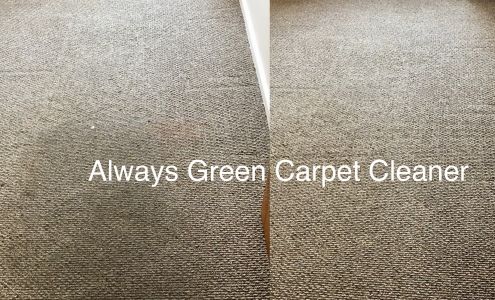 Always Green Carpet Cleaner Brooklyn
