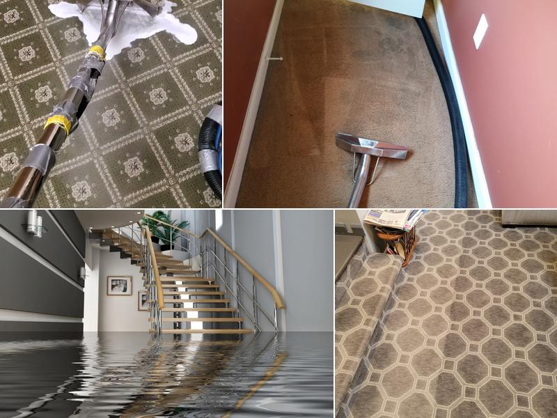 Brighter Tomorrows Carpet Cleaning