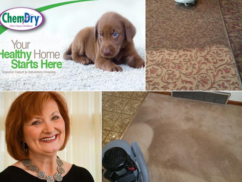 Chem-Dry of Monroe Lucas Co