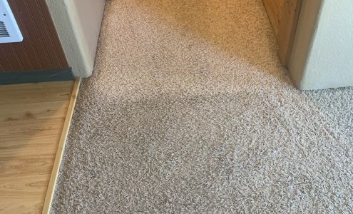 A1 Carpet