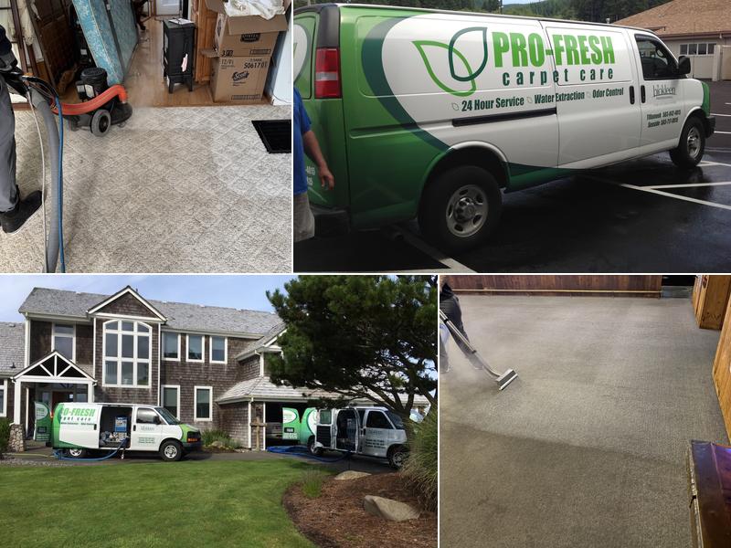 Pro-Fresh Carpet Care